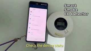 WIFI CO & Smoke Detector