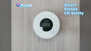 Smart Smoke CO Alarm TUYA WiFi Dual Sensor
