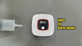 Talking CO Alarm Clear Voice Alerts